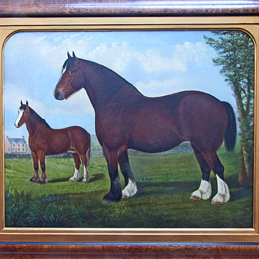 Fantastic large naive shire horse portrait