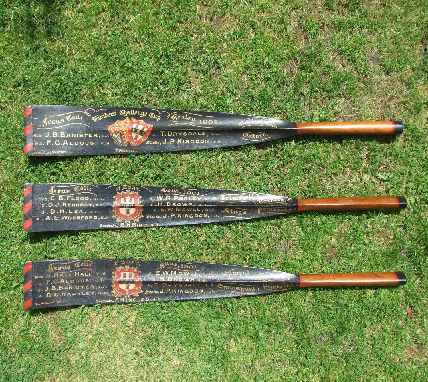 Set of 3 rowing trophy blades