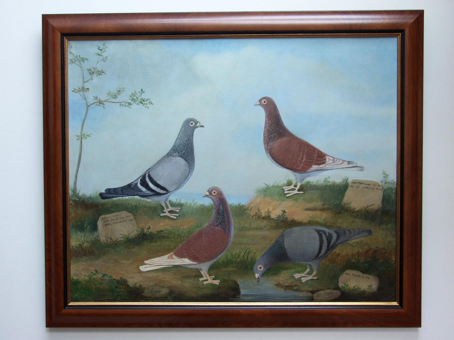 Rare oil painting of four show pigeons by J. Lecosty