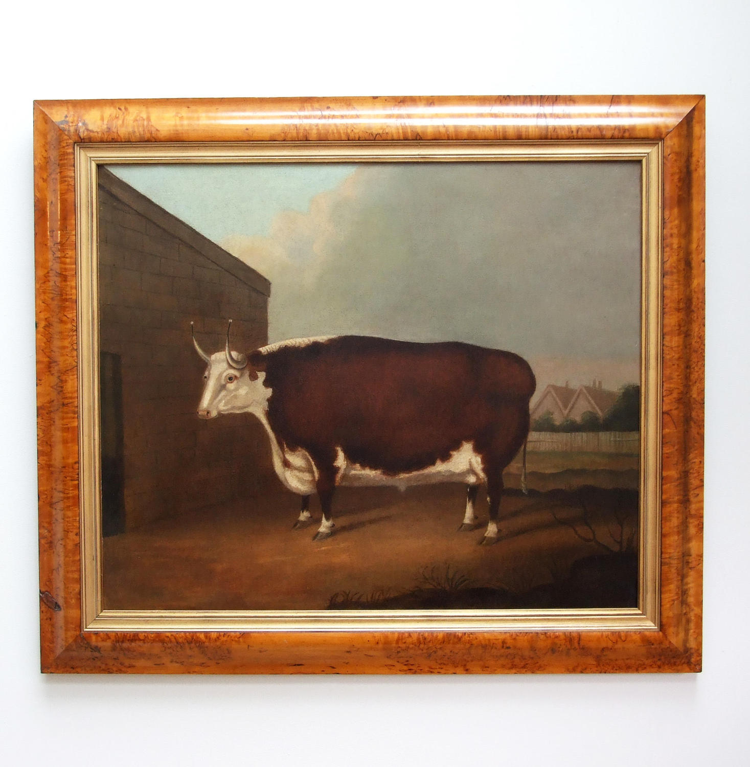 Early 19thC naive school oil painting of prize bull