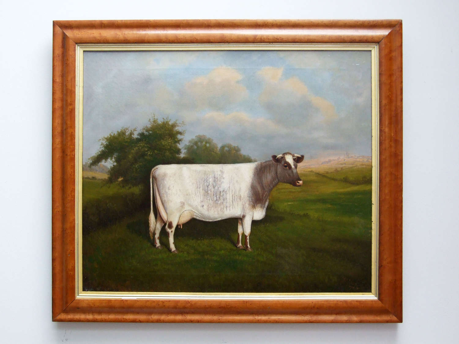 Fine oil portrait of a prize cow by William Albert Clark