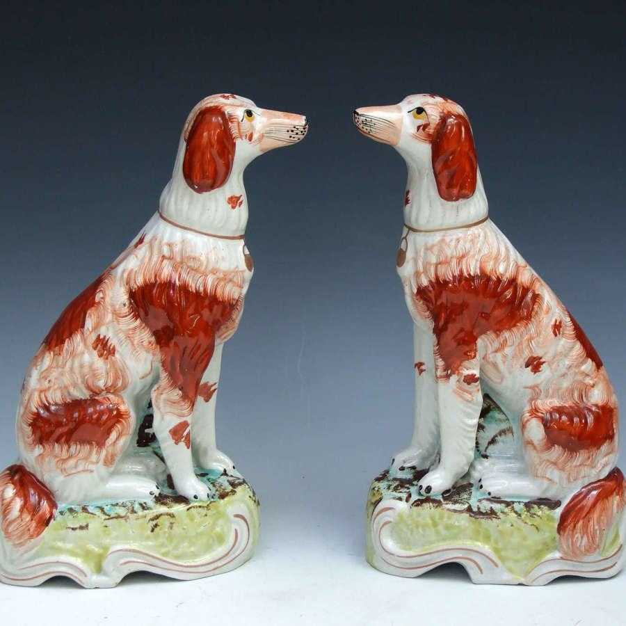 Rare pair of tall Staffordshire Saluki hounds